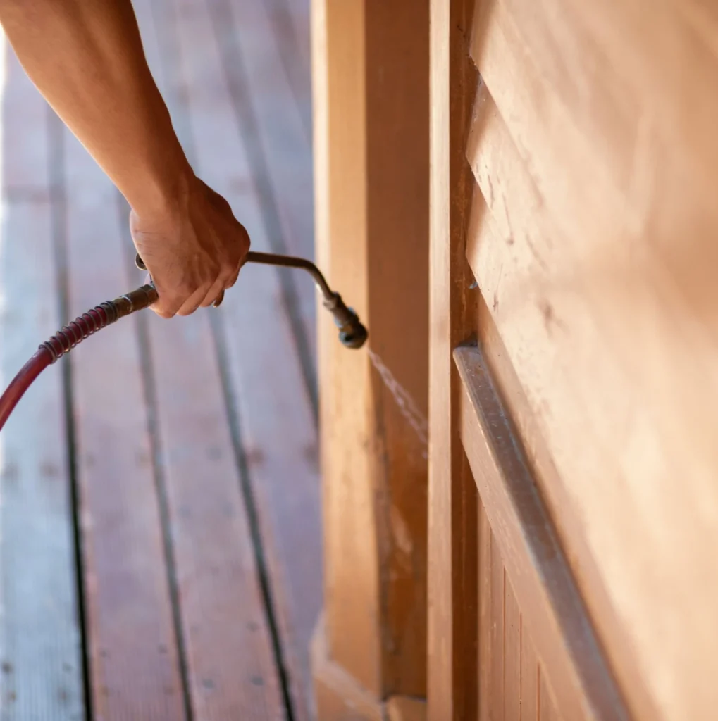Trusted Pest Control - Rego Park Pest Control Pros | Rego Park, NY | 914-598-9003